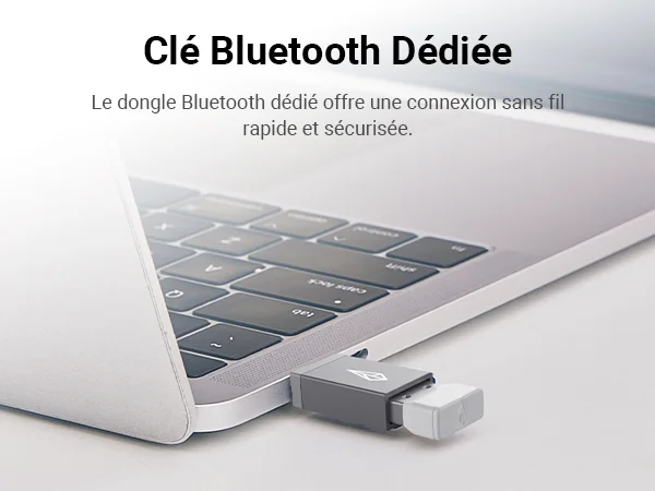 Xencelabs Pen Tablet Medium Bundle SE v2
